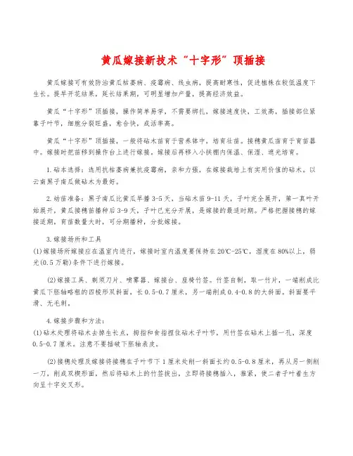 黄瓜嫁接新技术“十字形”顶插接