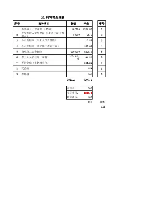 车辆保险明细项目