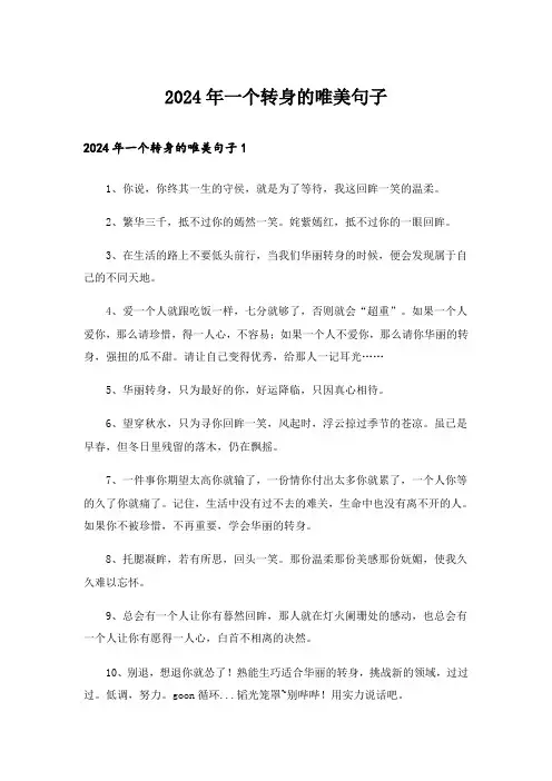 2024年一个转身的唯美句子