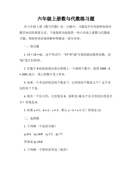 六年级上册数与代数练习题