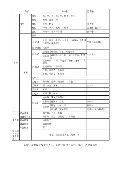 【生物竞赛】果实分类