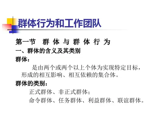 群体行为和工作团队(ppt 页)