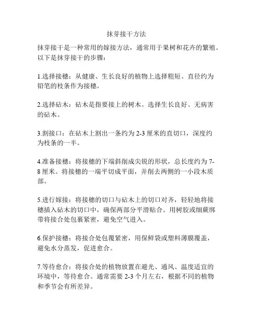 抹芽接干方法