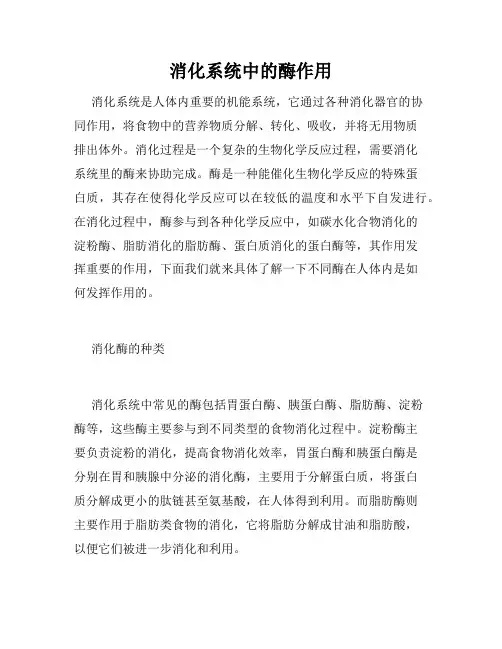 消化系统中的酶作用