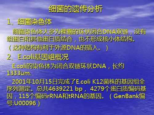 细菌的遗传分析