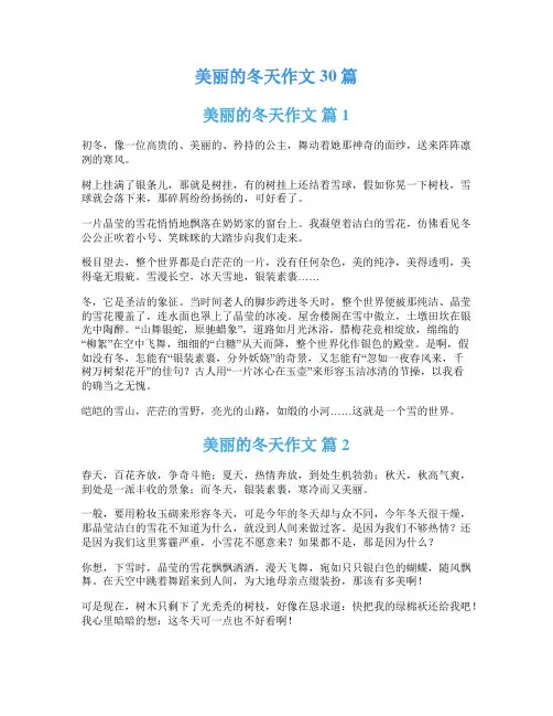 美丽的冬天作文30篇