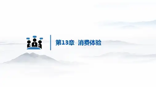 消费者行为学 第3版 第13章  消费体验