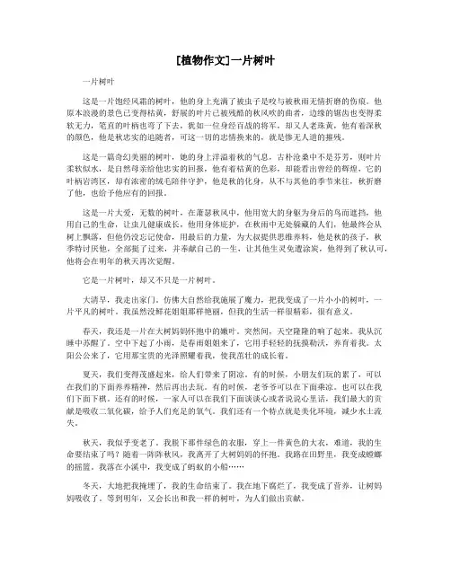 [植物作文]一片树叶
