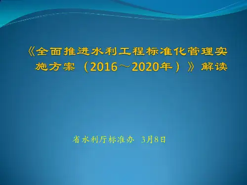 水利工程标准化管理实施方案解读
