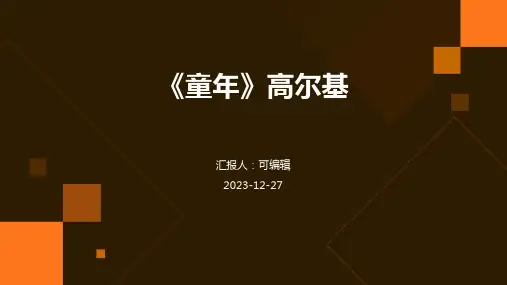 《童年》高尔基ppt