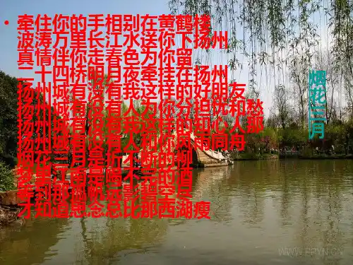 古典诗词与现代流行歌曲