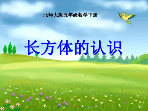 《长方体的认识》长方体2精品 课件 