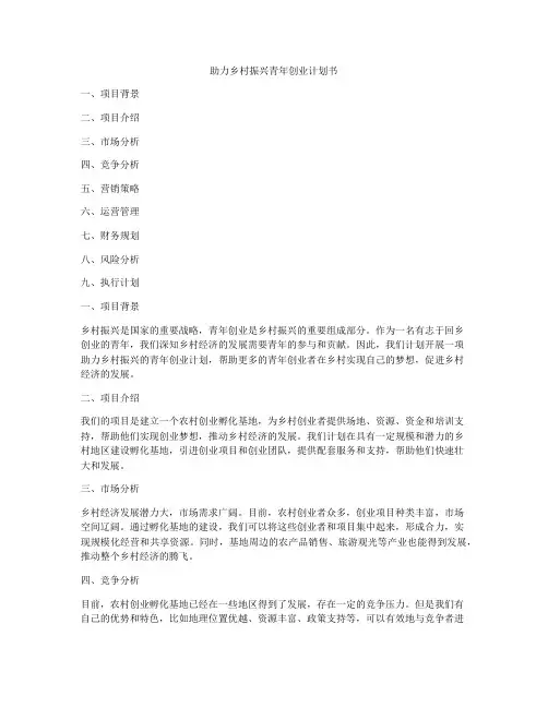 助力乡村振兴青年创业计划书