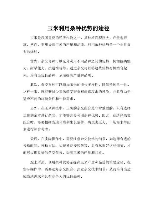 玉米利用杂种优势的途径