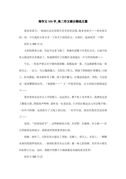 雨作文500字_高二作文满分精选五篇