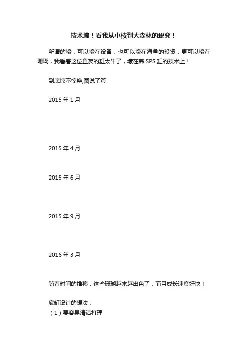 技术壕！看我从小枝到大森林的蜕变！