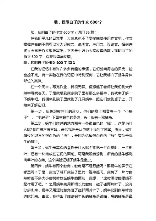 哦，我明白了的作文600字