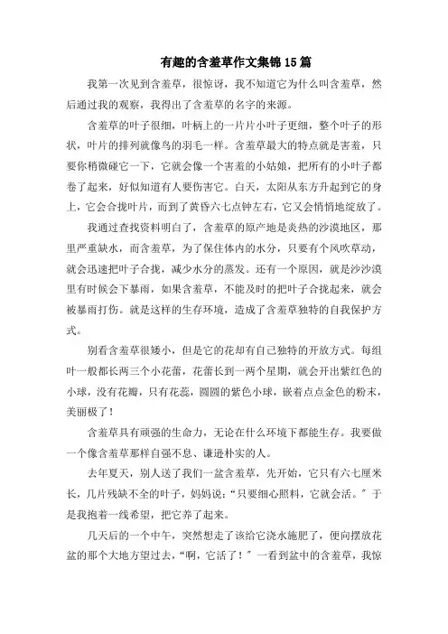 有趣的含羞草作文集锦15篇精编