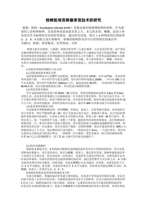 桉树组培苗移栽育苗技术的研究