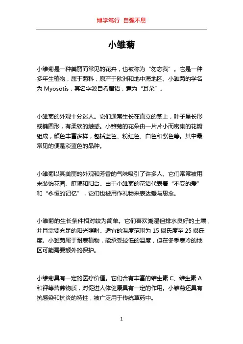 小雏菊_精品文档