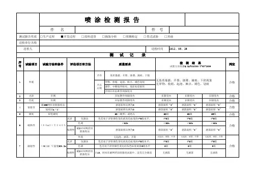 喷涂检测报告A版