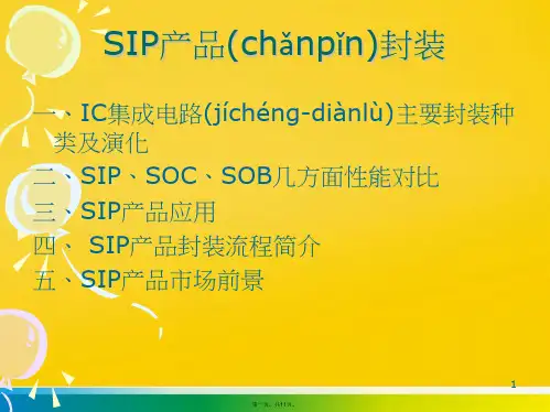 SIP封装简介标准版文档