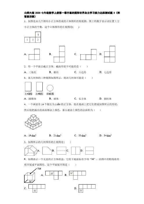 北师大版2020七年级数学上册第一章丰富的图形世界自主学习能力达标测试题3(附答案详解)