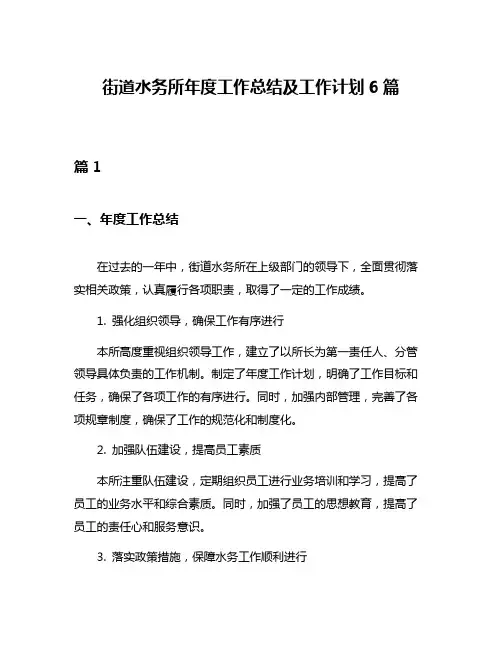 街道水务所年度工作总结及工作计划6篇