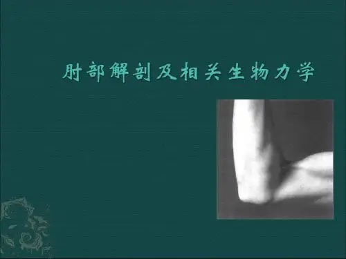 肘部解剖及相关生物力学PPT课件