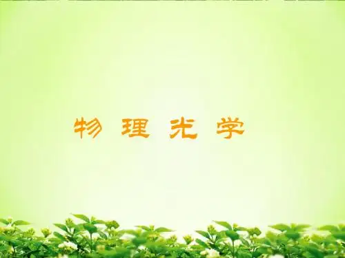 《物理光学》课件