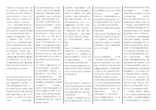河床演变与整治要点