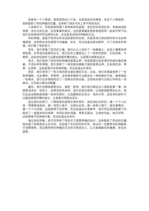 我的小菜园的有机种植