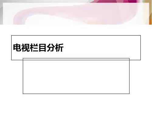 电视栏目分析知识讲解