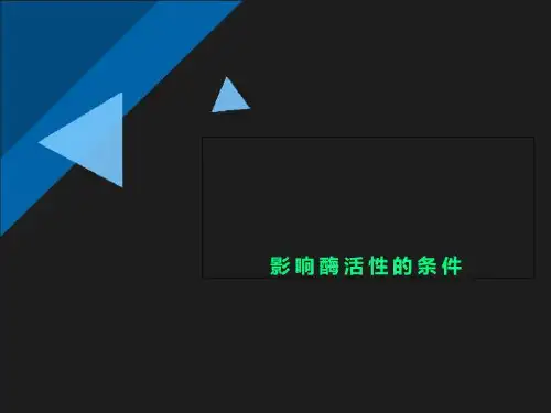 影响酶活性的条件