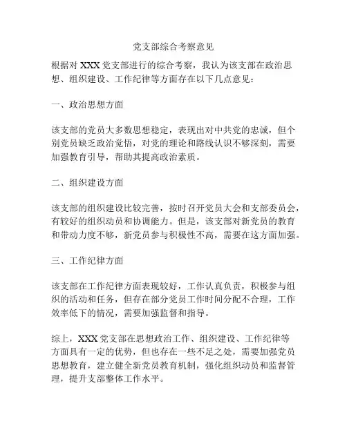 党支部综合考察意见