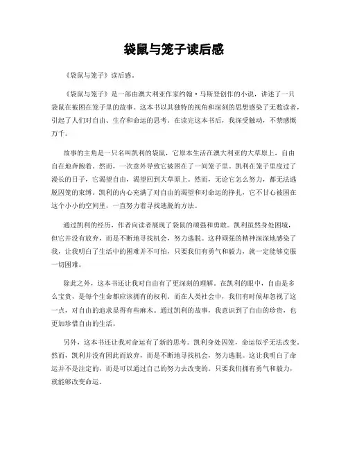 袋鼠与笼子读后感