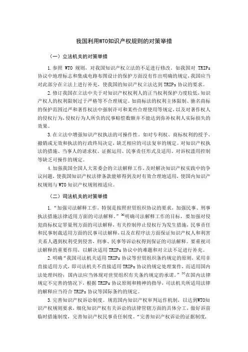 我国利用WTO知识产权规则的对策举措