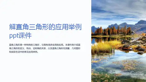 解直角三角形的应用举例课件