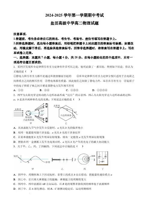 深圳盐田高级中学2024年高二11月期中考试物理试题+答案