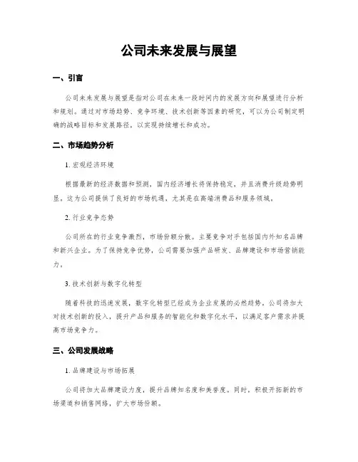 公司未来发展与展望
