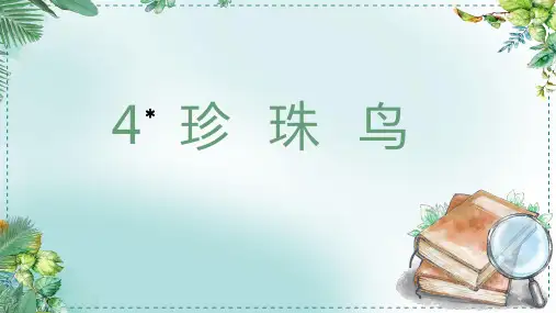 五年级语文珍珠鸟课件(共37张PPT)