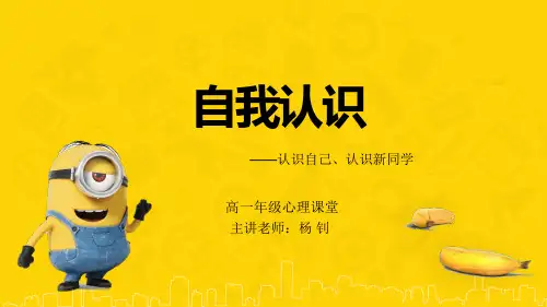 高中生心理辅导心理健康教育课件——自我认识(我是谁)(课件13张)