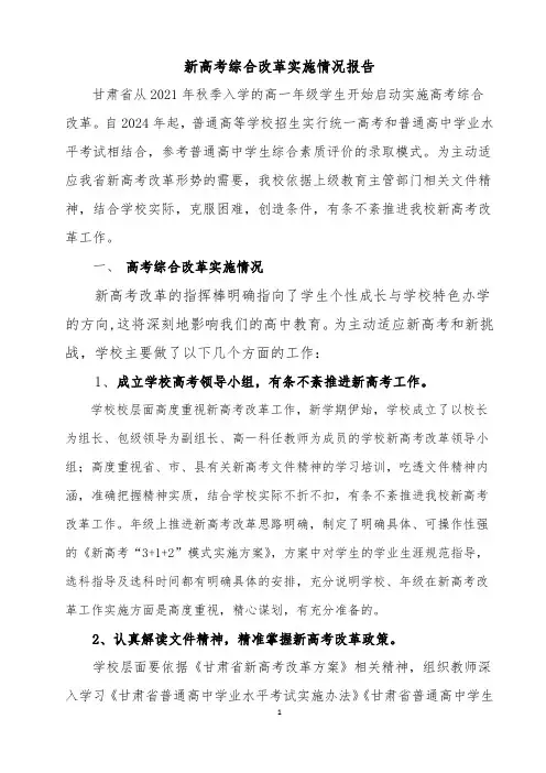 新高考综合改革实施情况报告