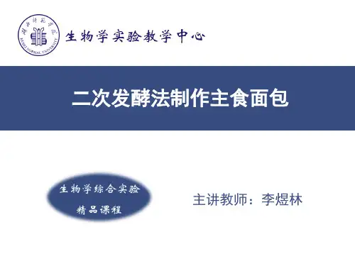 (普通面粉,黄色起酥油)二次和面法制作主食面包