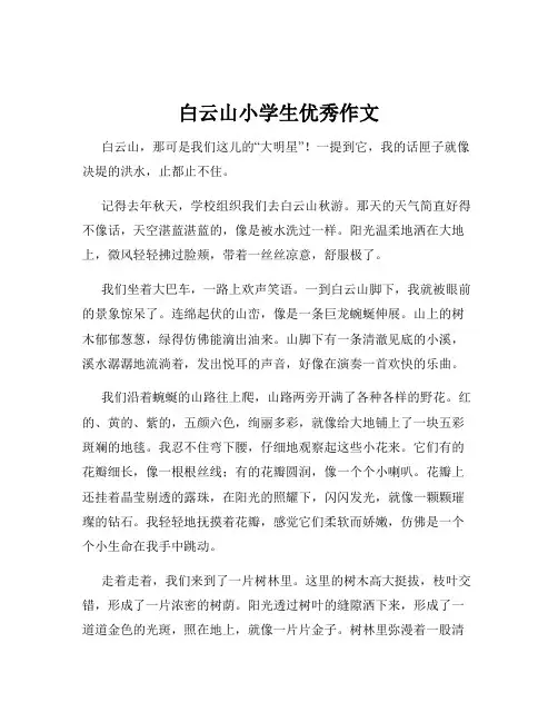 白云山小学生优秀作文