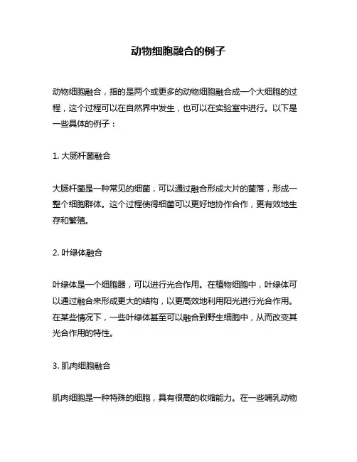 动物细胞融合的例子