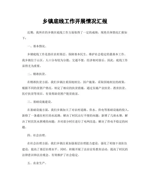 乡镇底线工作开展情况汇报
