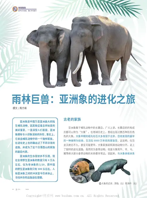雨林巨兽亚洲象的进化之旅