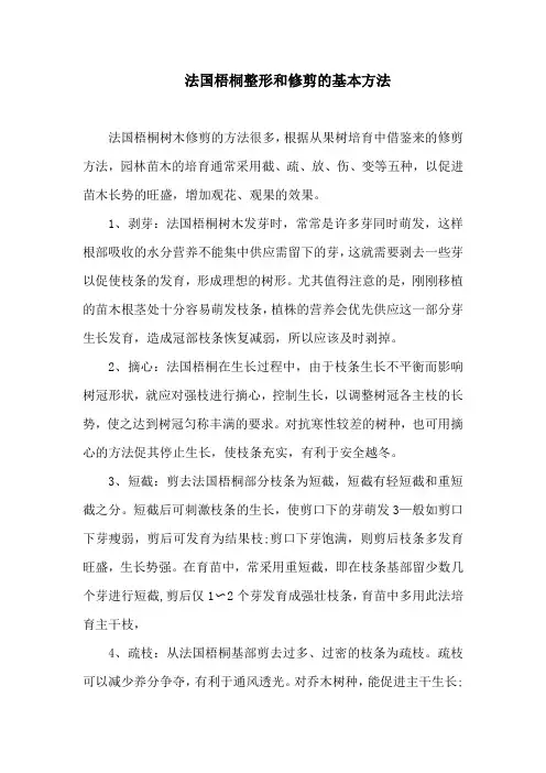 法国梧桐整形和修剪的基本方法