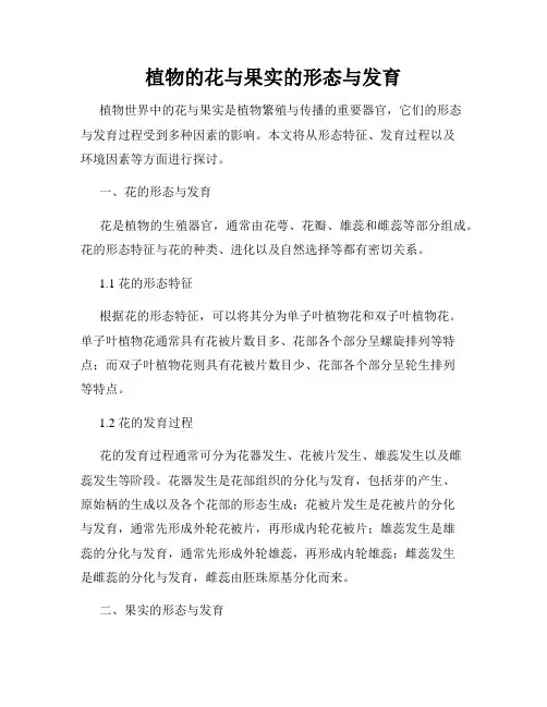 植物的花与果实的形态与发育